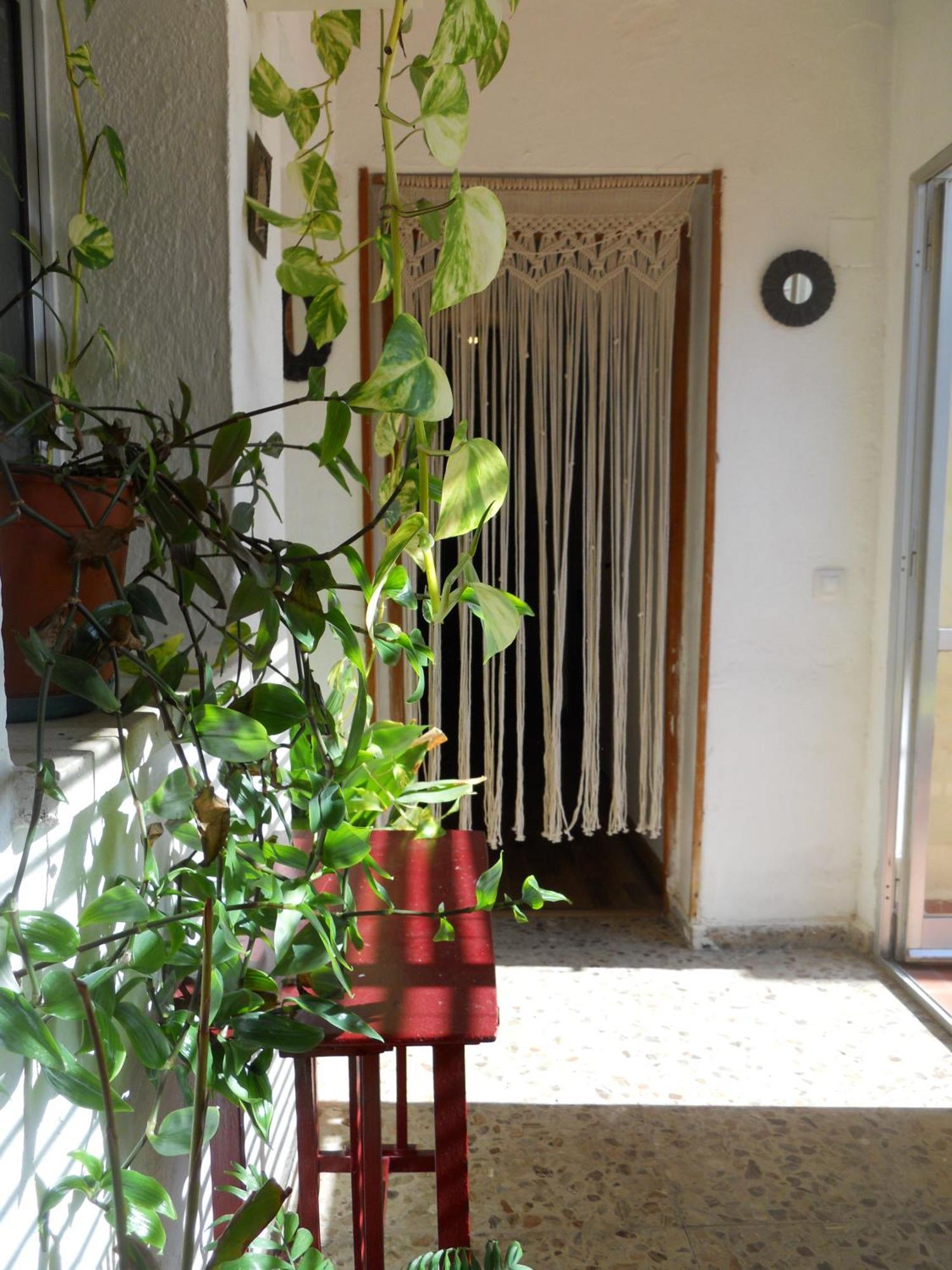Naturalia: La Casita Con Patio Касерес Екстер'єр фото